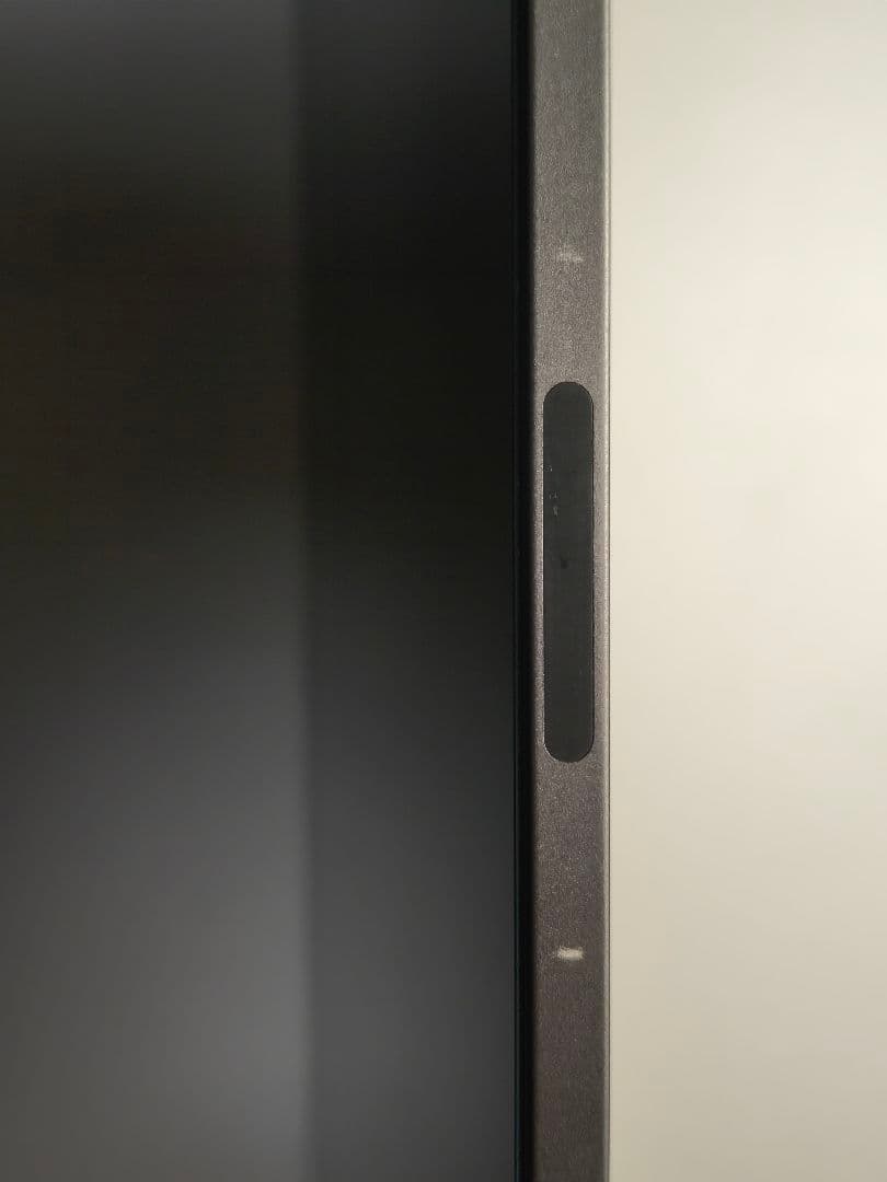 メ*ン様 iPad Pro 11インチ 256GB Wi-Fi + Cellul