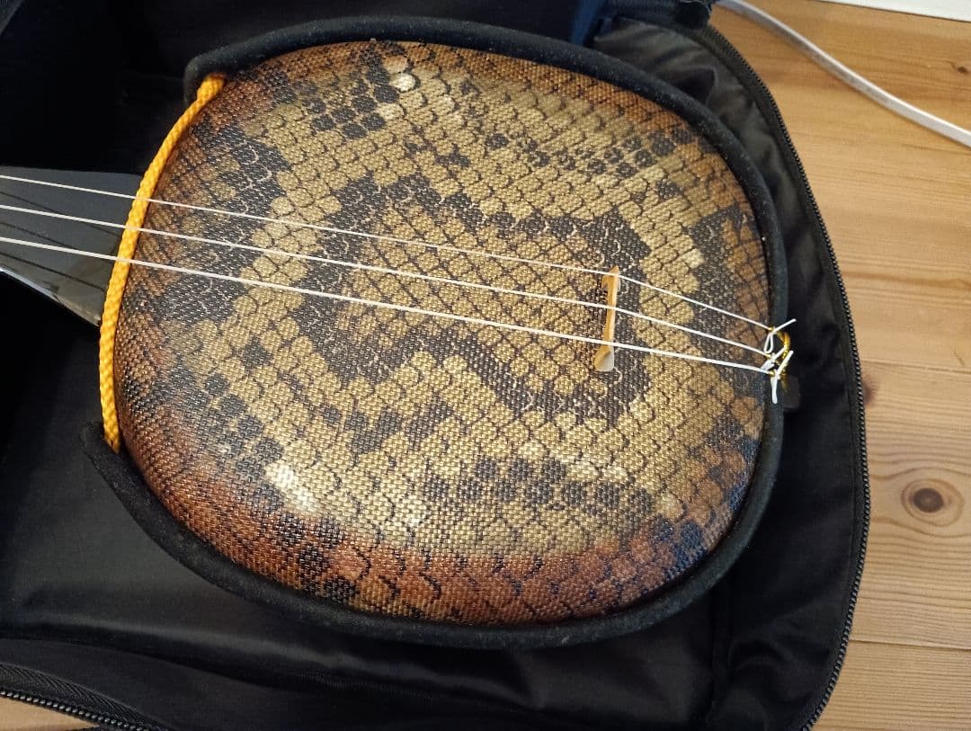 三線沖縄初心者フルセットケースBEGIN三線曲集付き