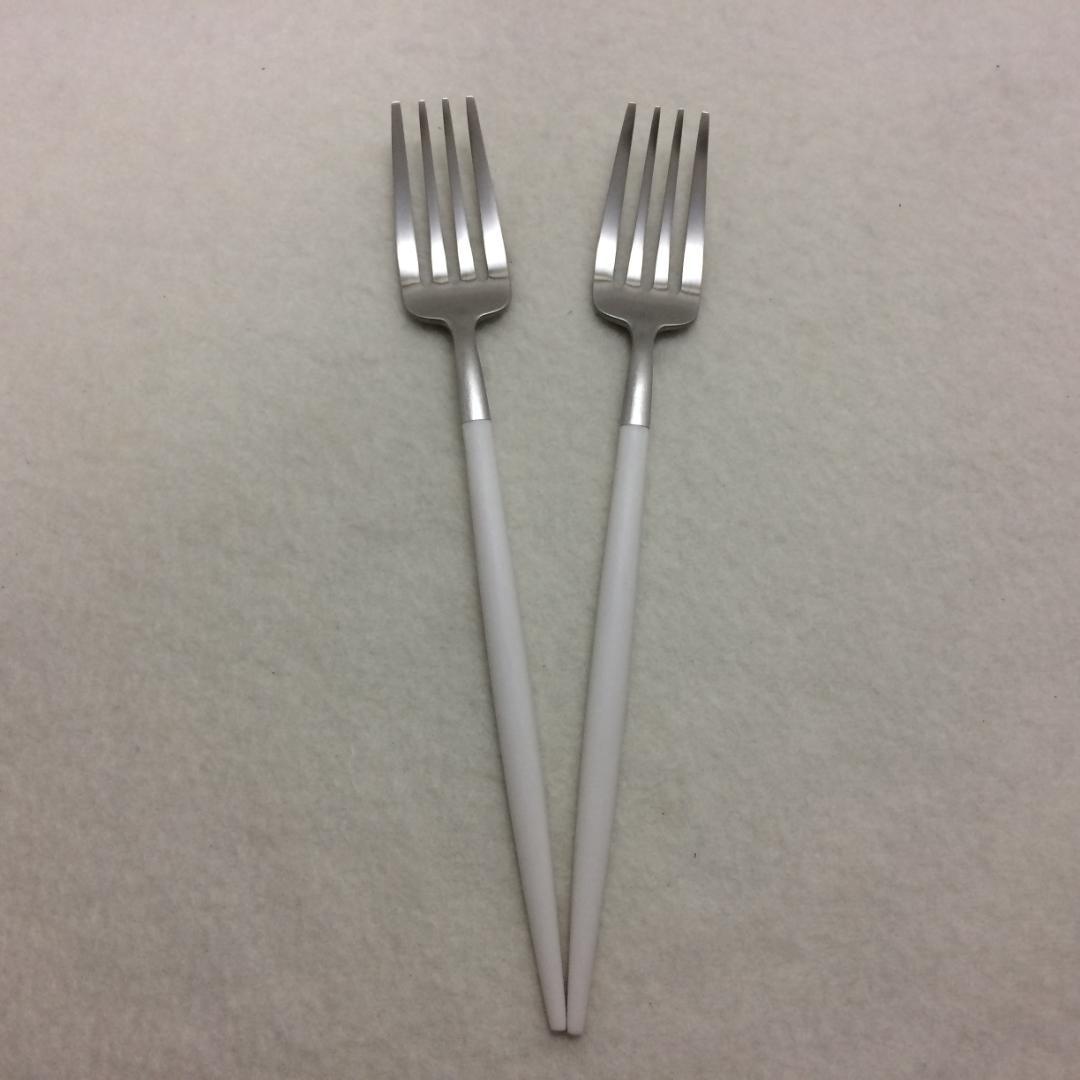 Erica5　クチポール　GOAホワイト＆シルバー　６種×各４本　計24本