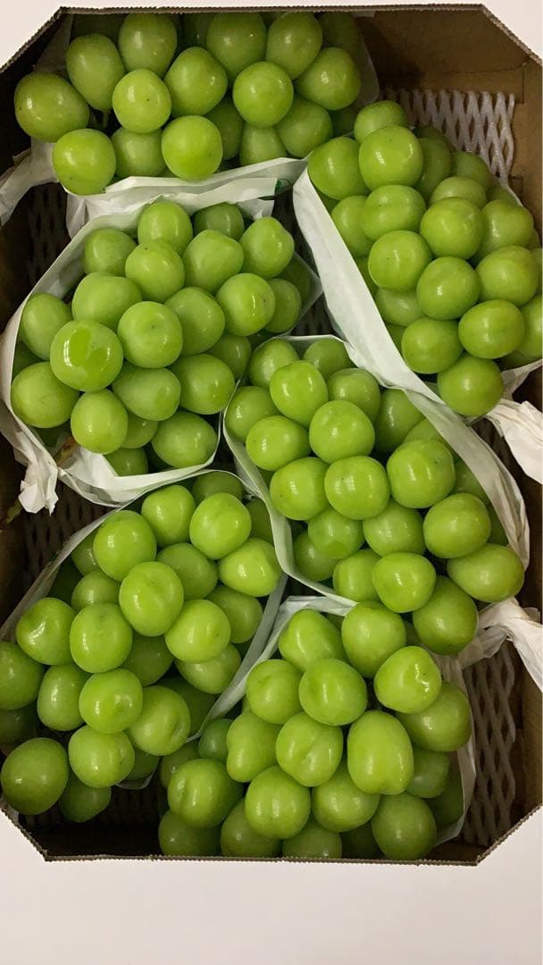 山梨県/長野県/山形県産　シャインマスカット　葡萄　ぶとう　ブトウ　箱込み5kg