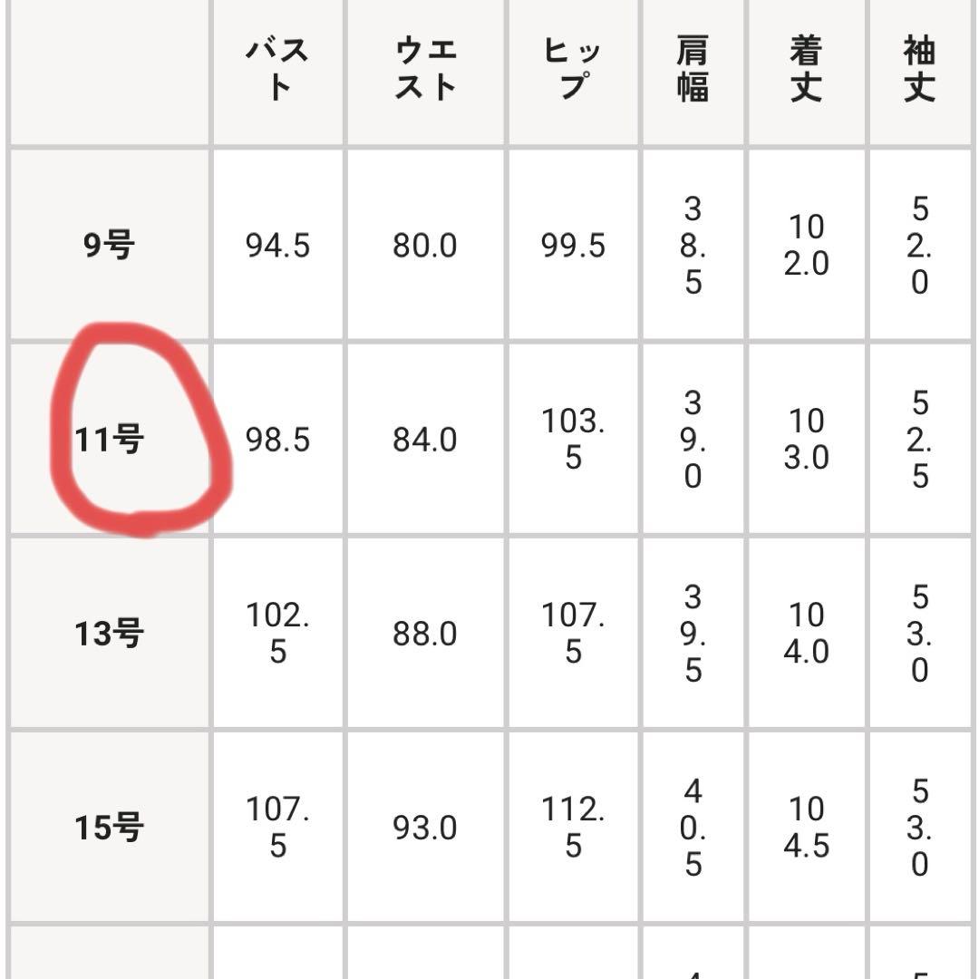 ソワールドルチェ　東京ソワール　SOIR オパール袖のベルベットワンピース