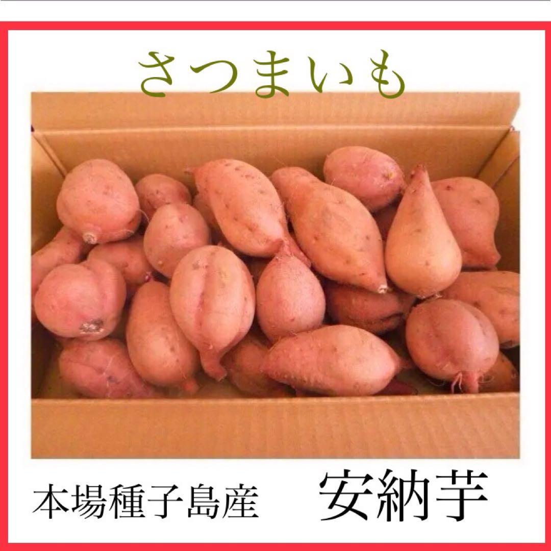 種子島産安納芋　2sサイズ20kgさつまいもの王道おやつに　#安納芋