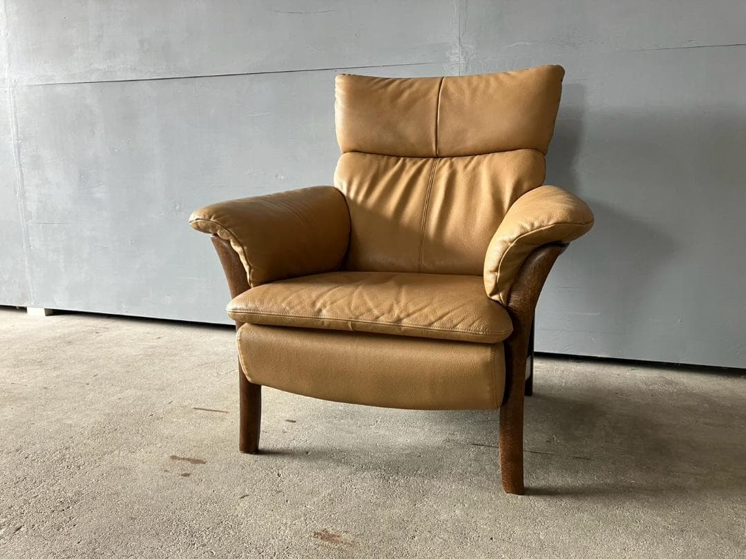 『Direttore』ディレトーレ 肘掛けチェア アームチェア RWso21