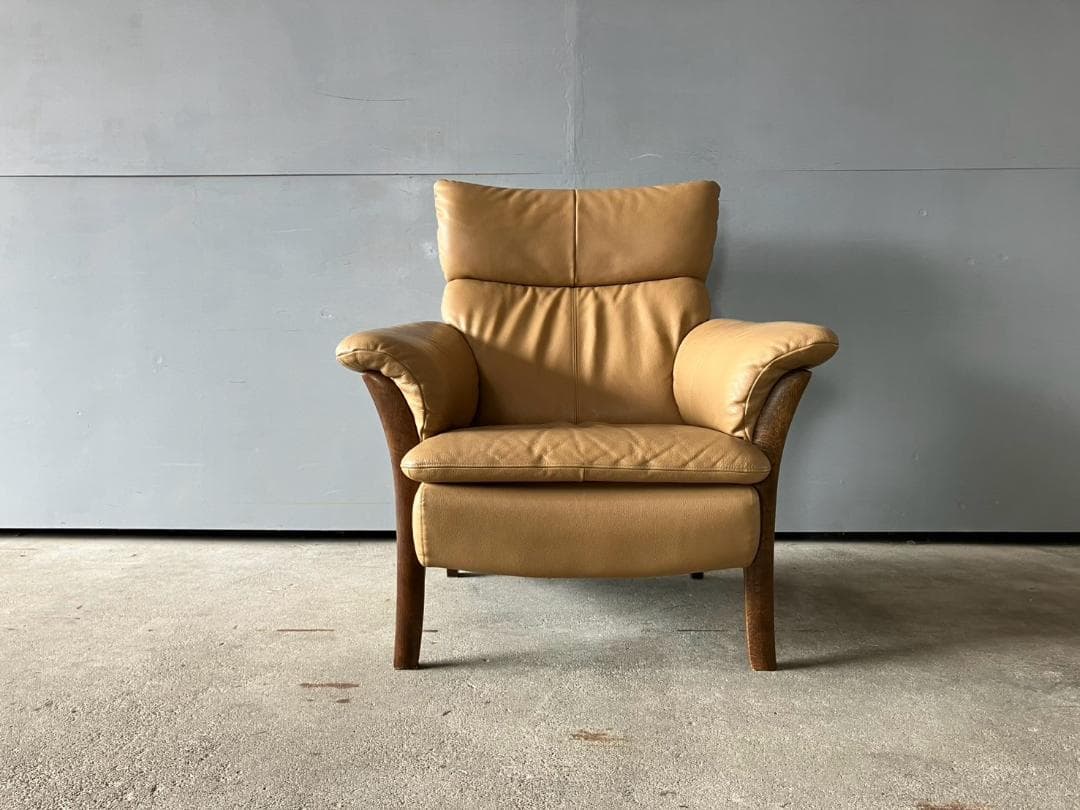 『Direttore』ディレトーレ 肘掛けチェア アームチェア RWso21