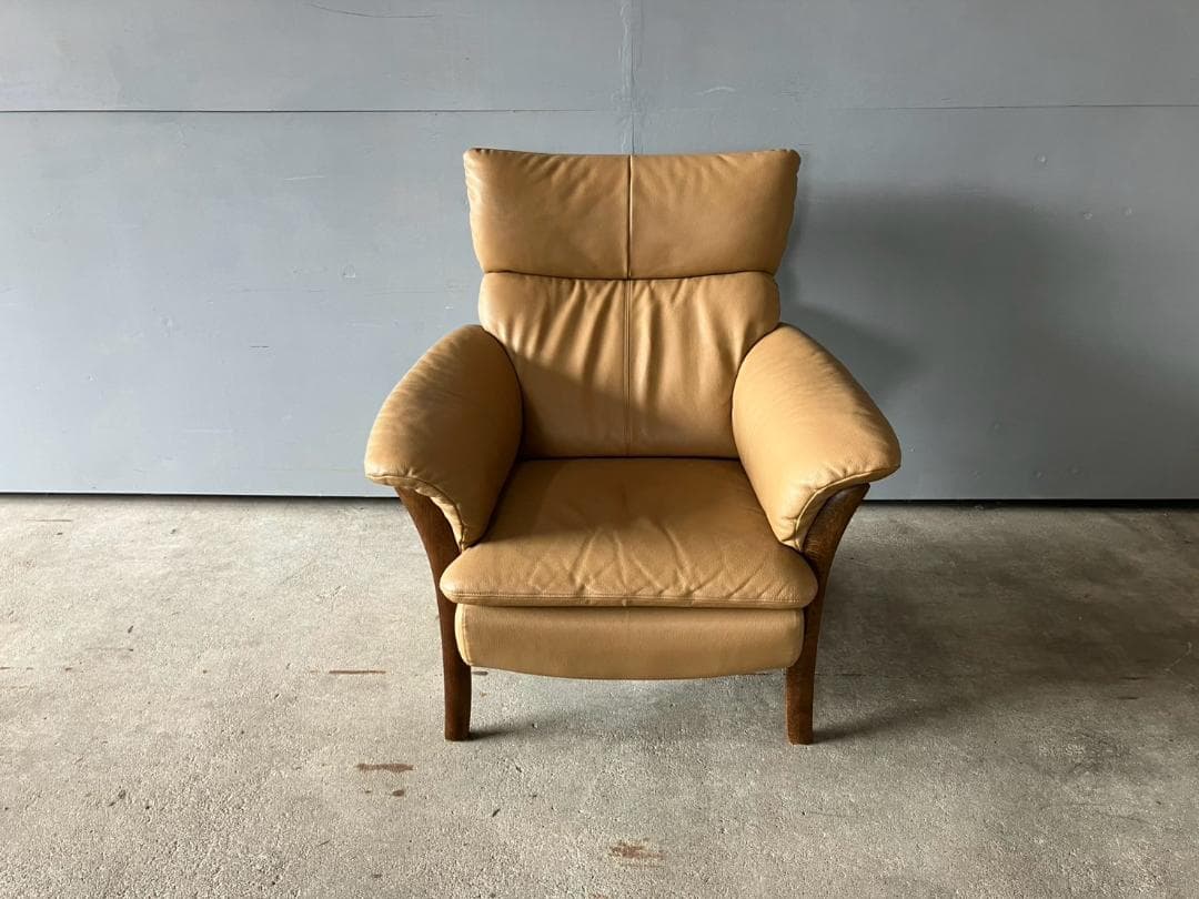 『Direttore』ディレトーレ 肘掛けチェア アームチェア RWso21