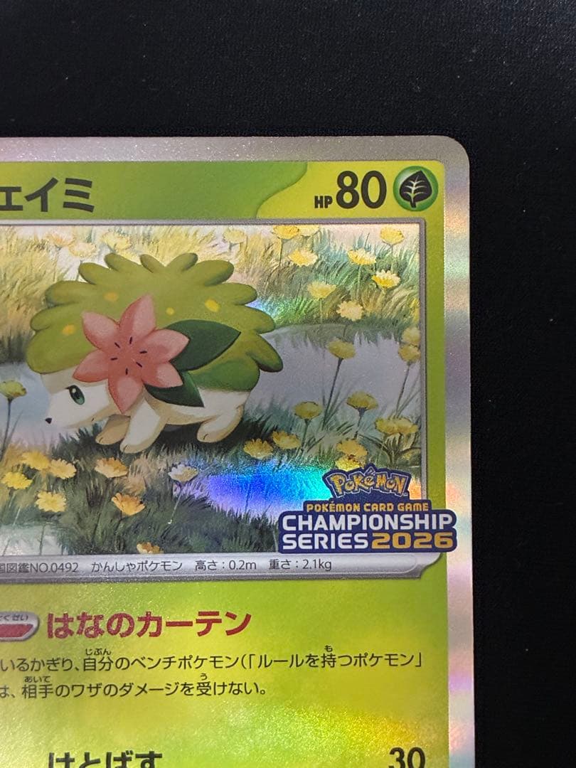 チャンピオンズリーグCL2026 プロモ　ロケット団のミュウツーex シェイミ