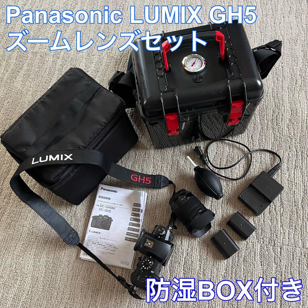 Panasonic LUMIX GH5 12-60ズームレンズセット ケース付き