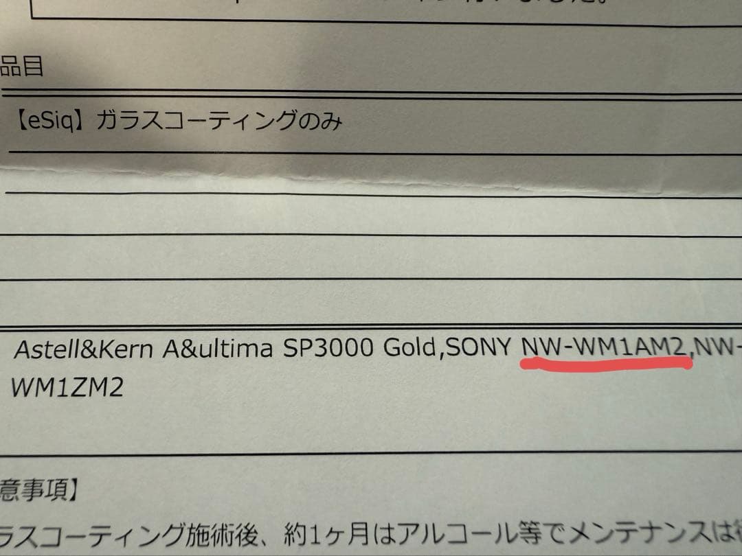 【おまけ付き】SONY NW-WM1AM2