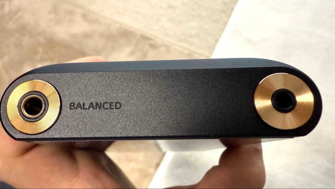 【おまけ付き】SONY NW-WM1AM2