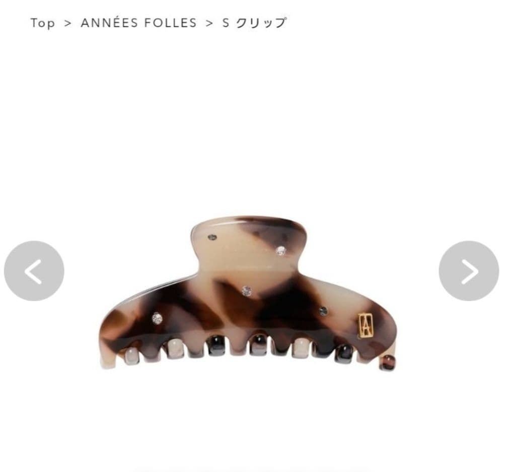 アレクサンドル ドゥ パリ Sクリップ 2.5㎝ ×6㎝