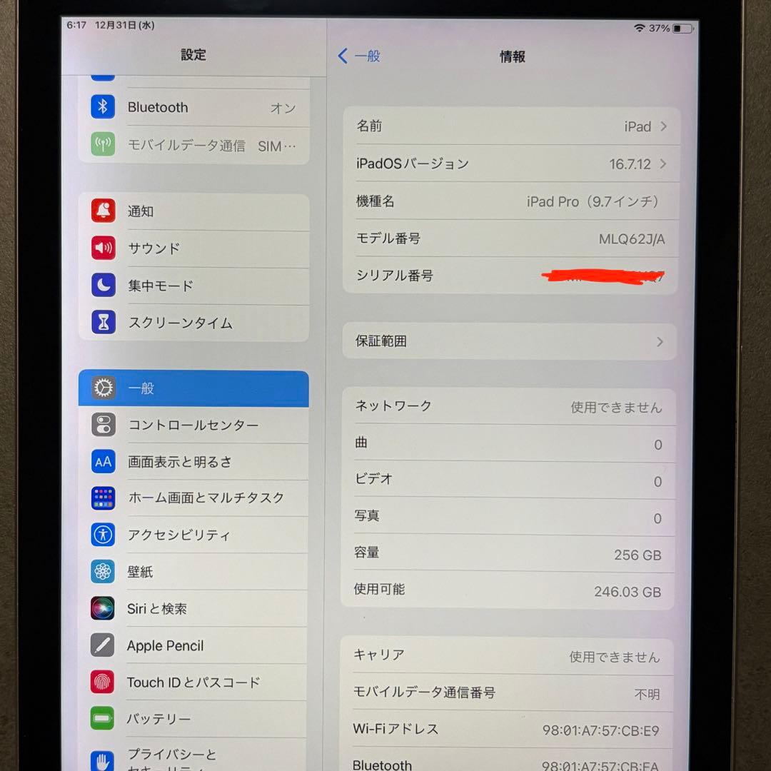 iPad Pro 9.7インチ Cellular 256GB MLQ62J/A