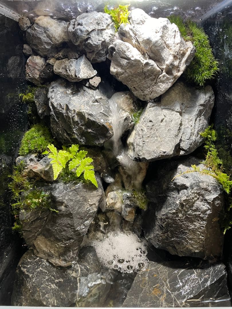 y*u様 【完成品】迫力のある大きな滝のアクアテラリウム