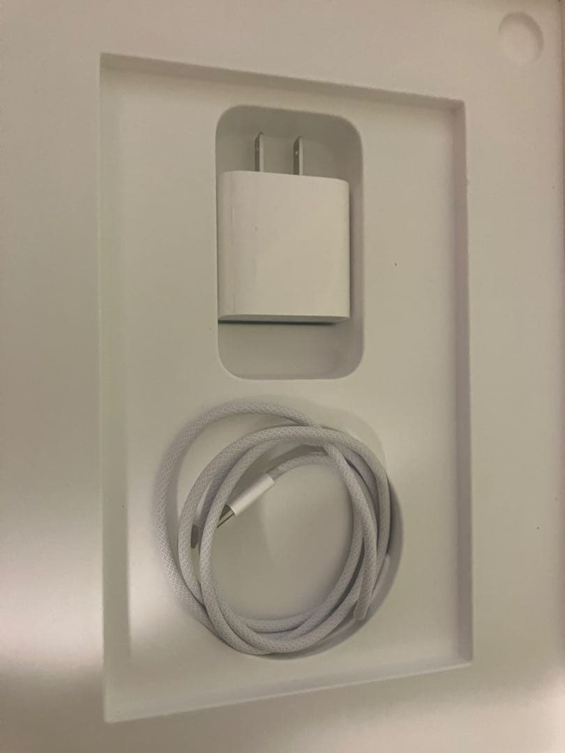 iPad（A16） A16 11型 Wi-Fiモデル ストレージ：128GB