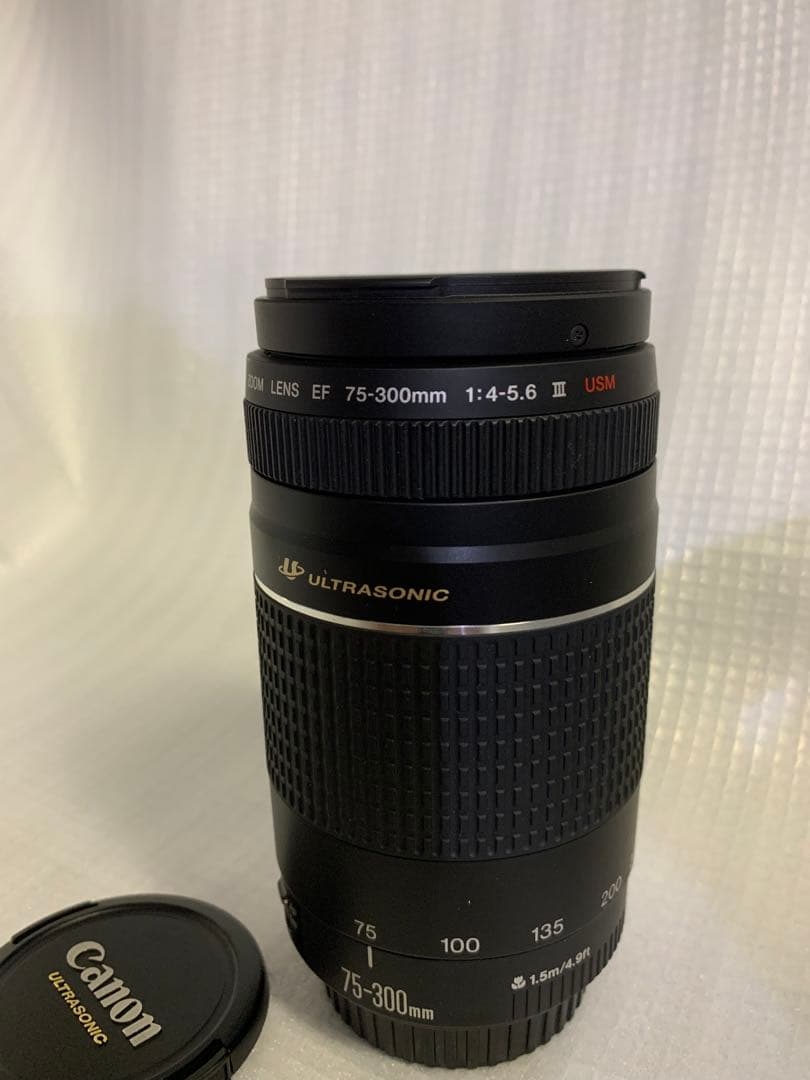 ⭐️極美品⭐️ Canon EF 75-300mm F4-5.6 III 望遠レンズ