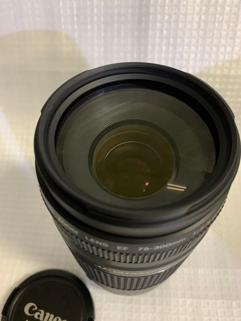 ⭐️極美品⭐️ Canon EF 75-300mm F4-5.6 III 望遠レンズ