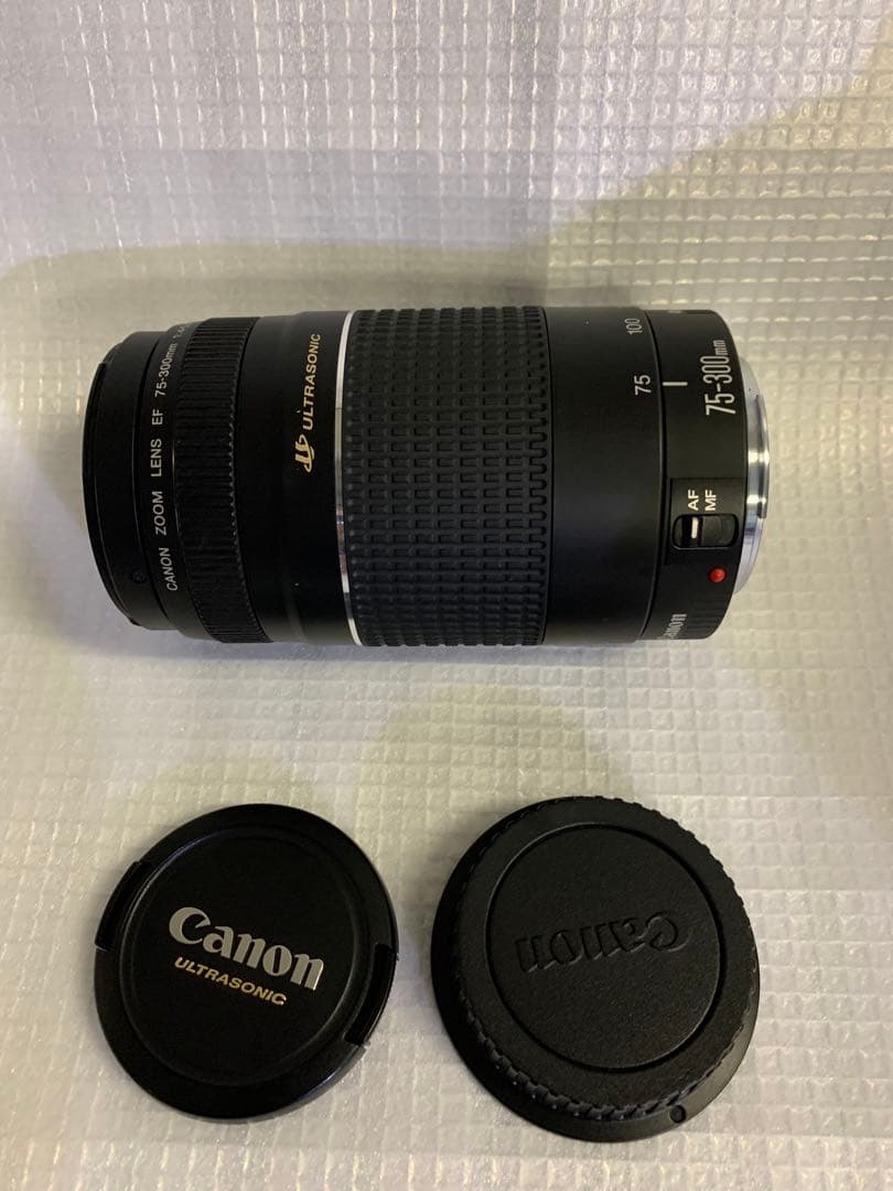 ⭐️極美品⭐️ Canon EF 75-300mm F4-5.6 III 望遠レンズ