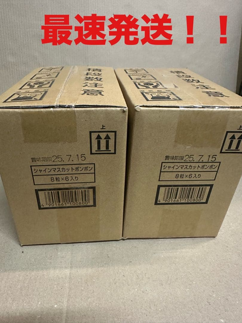 シャインマスカットボンボン　20袋