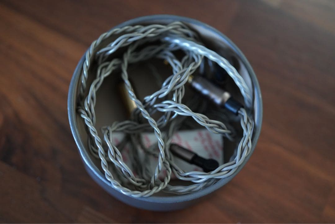 Astell&Kern Vision Ears Aura 美品