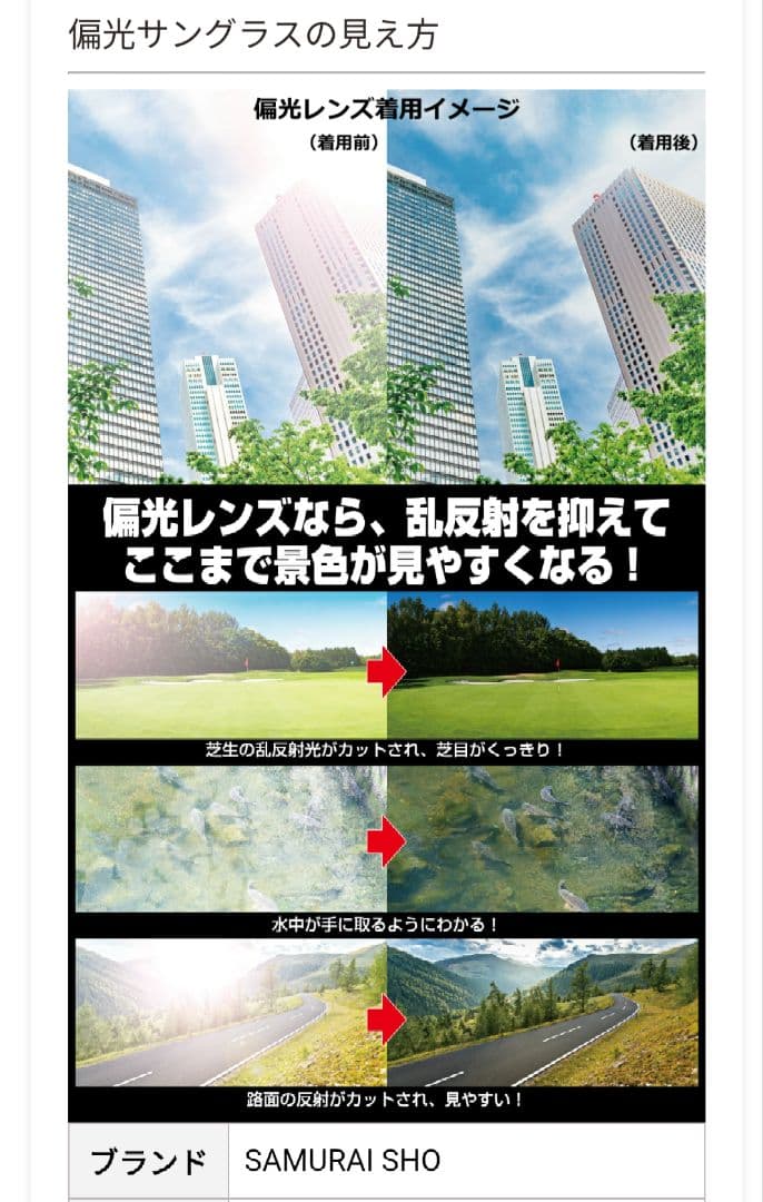 【美品】Kodak LENS × SAMURAI SHO　偏光サングラス