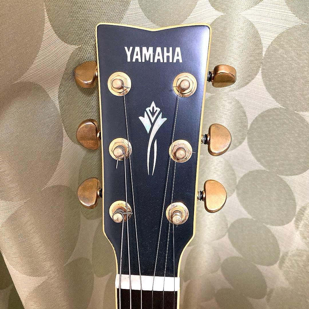 YAMAHA DW-8 ソフトケース付 ヤマハ アコースティックギター ブラック