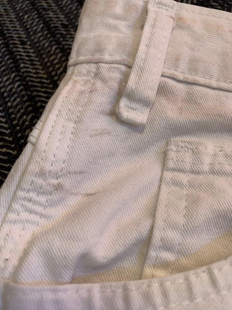 Dickies × SherwinWilliams ペインターパンツ W32