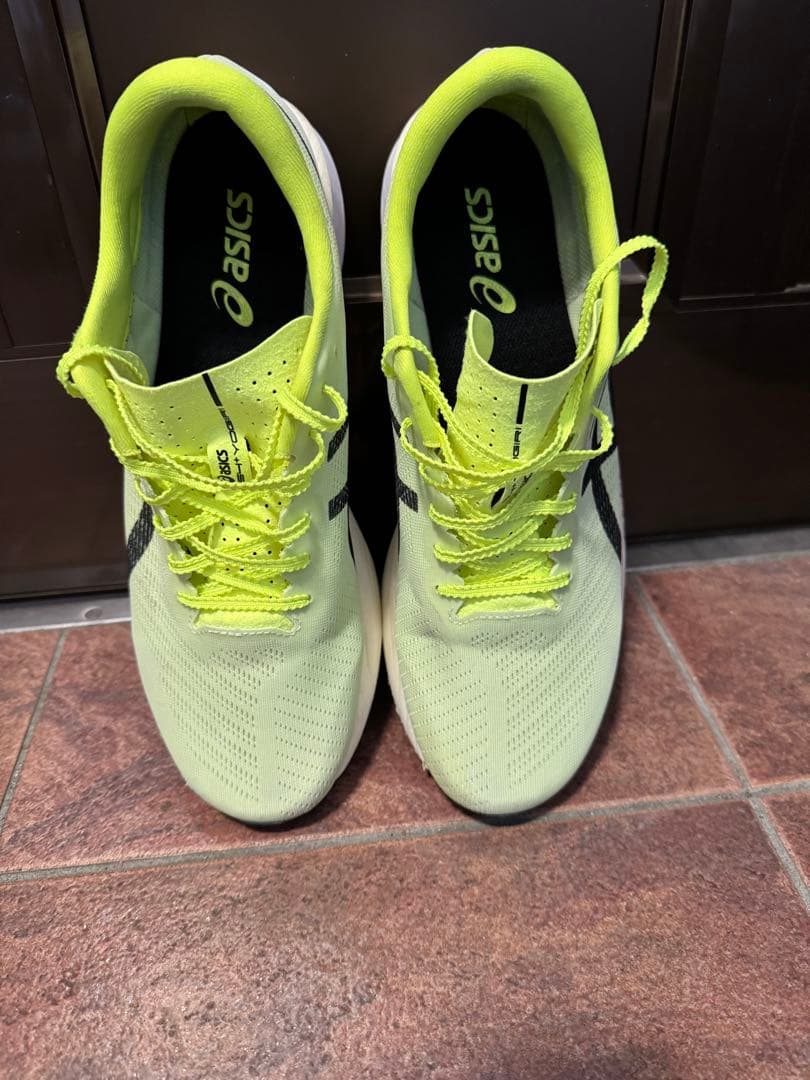 アシックス ASICS S4+ YOGIRI 29.0cm