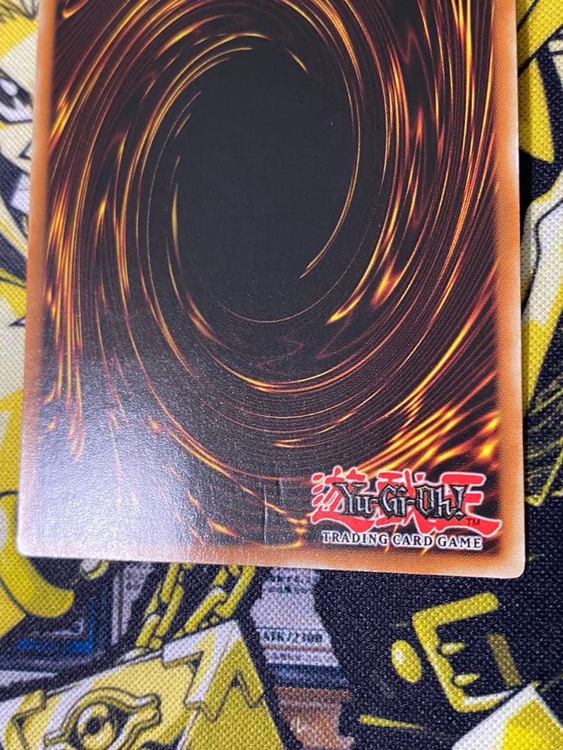 遊戯王 ハーピィズペット仔竜 英語版 レリーフ 1st