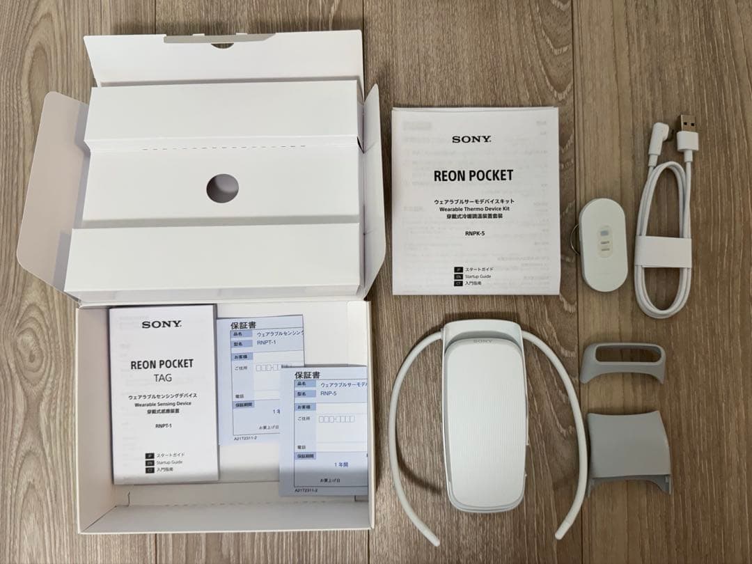 レオンポケット5 REON POCKET 5 RNPK-5 ソニー