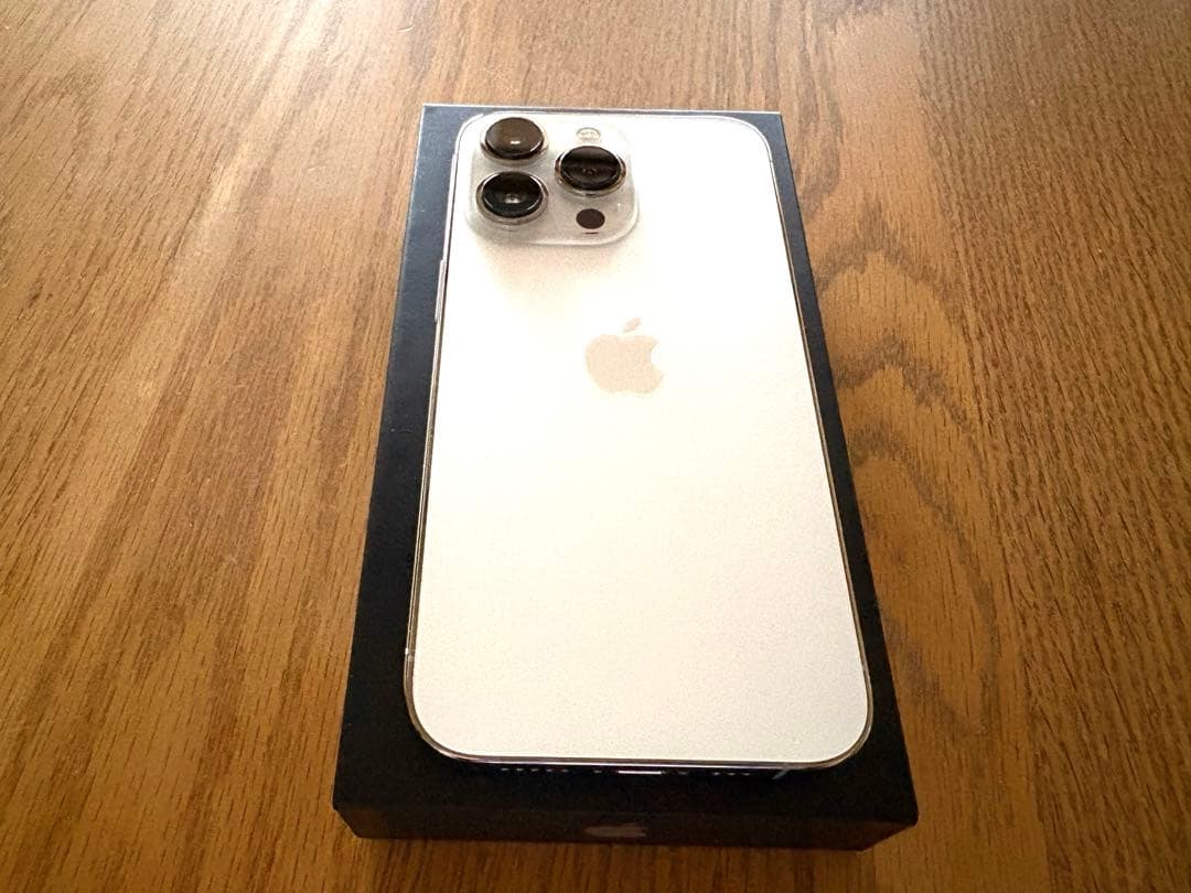 Apple iPhone 13 Pro シルバー 本体セット　SIMフリー