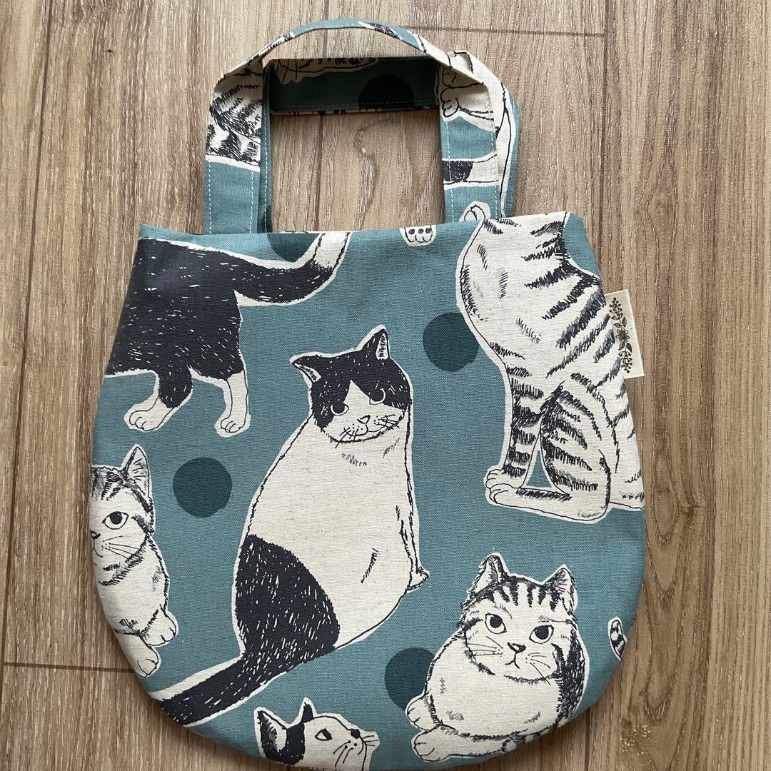 キラキラ⭐️　　あんぱん＆猫