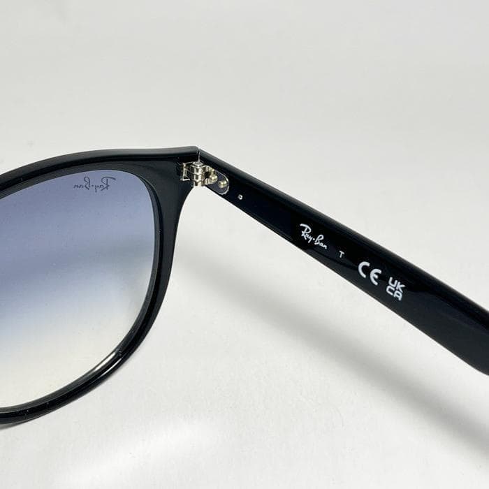 迅速対応【正規品】RB4259F-60119 新品未使用 レイバン サングラス