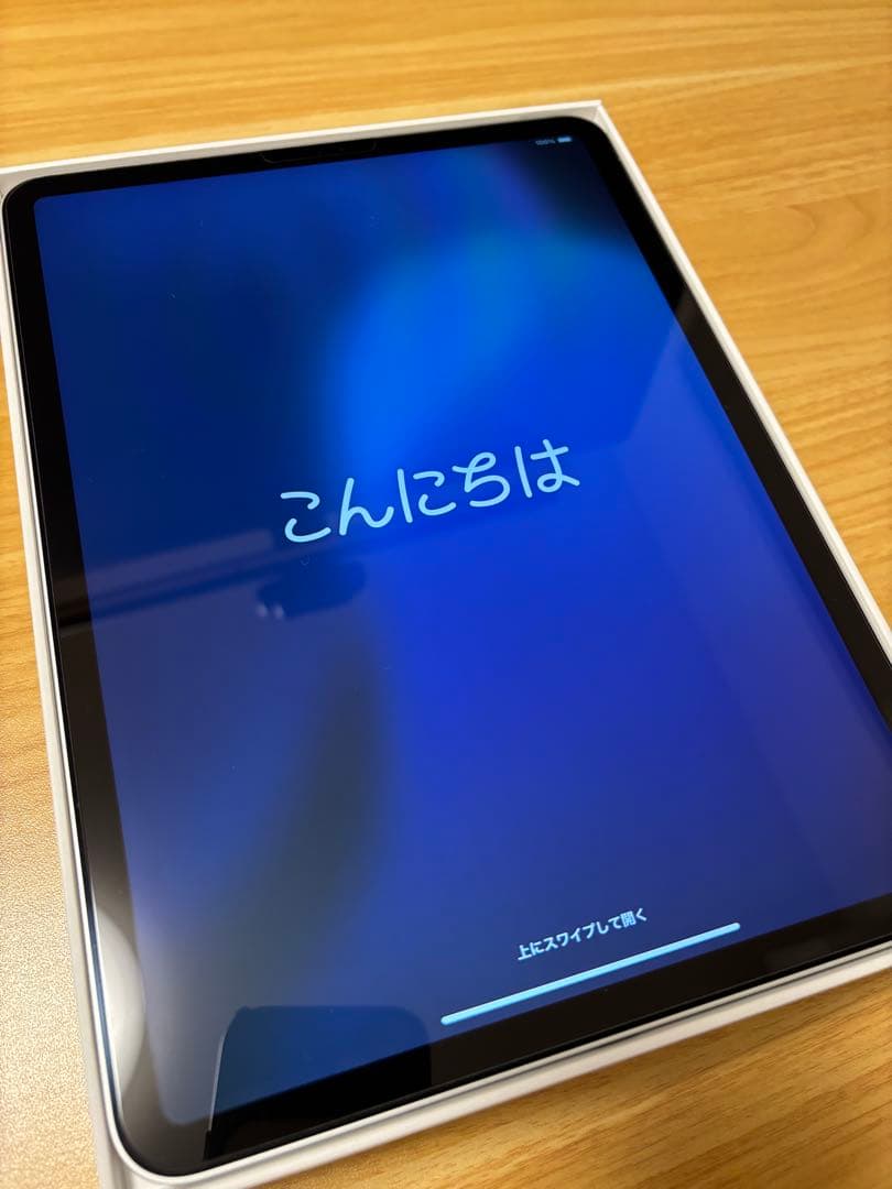 iPad Pro 11インチ WiFi256GB + Apple Pencil