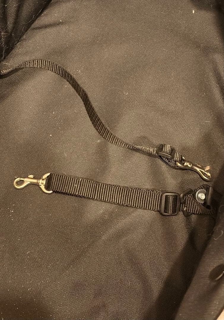 日曜値下げ　清掃済　ペットカート miliclan lite ミリクランライト