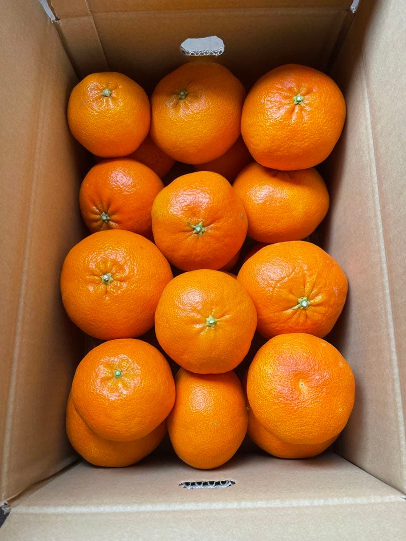 甘平(ご家庭用)・箱込み5.5kgx2箱