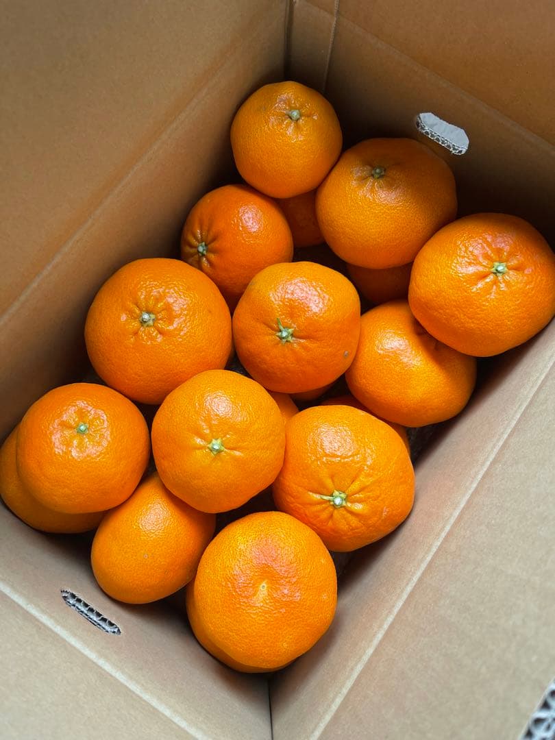 甘平(ご家庭用)・箱込み5.5kgx2箱