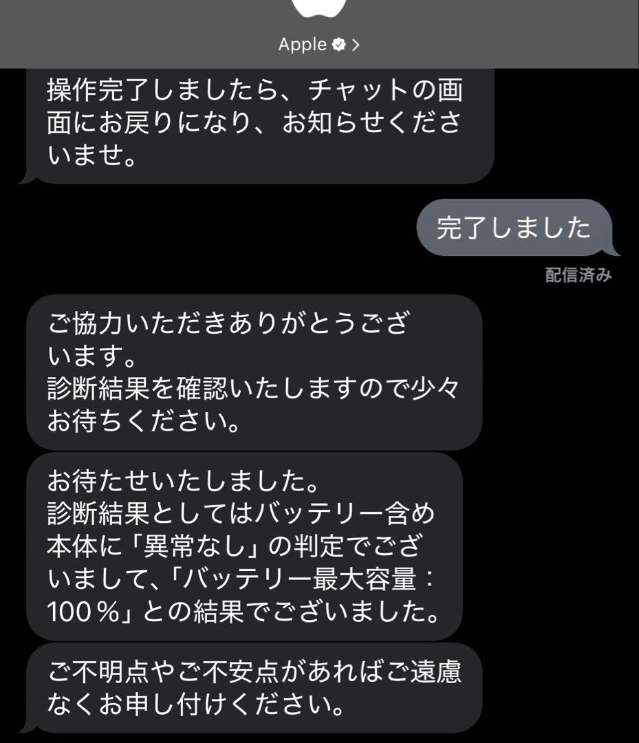 iPad 第10世代　本体カバー　Apple Pencil 付き