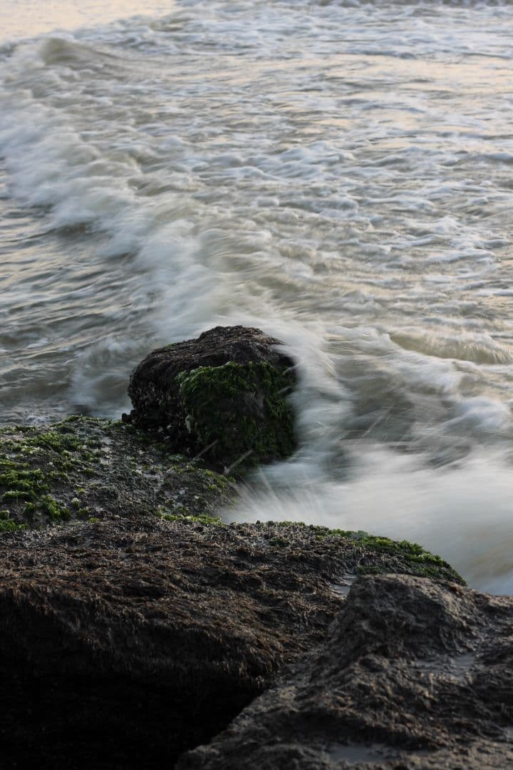 Canon EOS Kiss X50 レッド ef50mm f/1.8stm