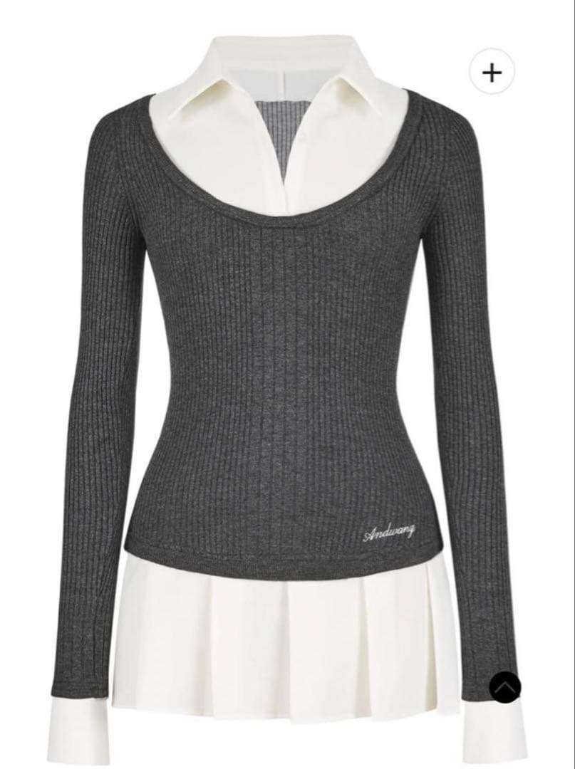 トップス andwang Shirt pleated mini onepiece