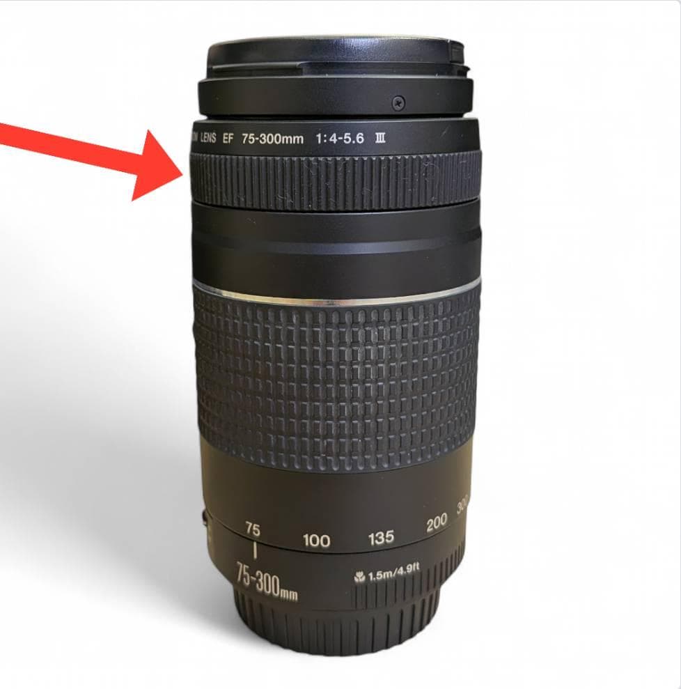 カメラ 一式 豪華セット！ 初心者向け 専用バッグ付 レンズ 2種類 Canon