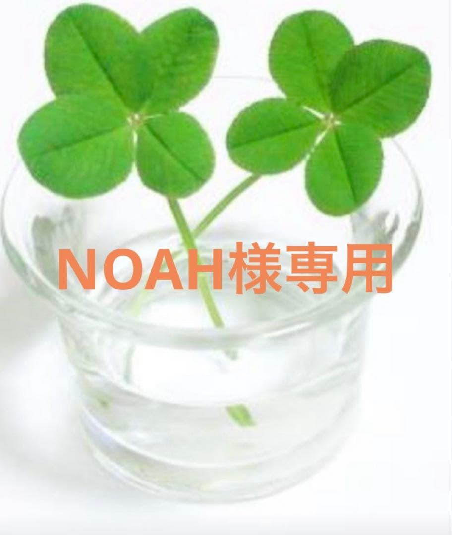 クレンジング・メイク落とし NOAH