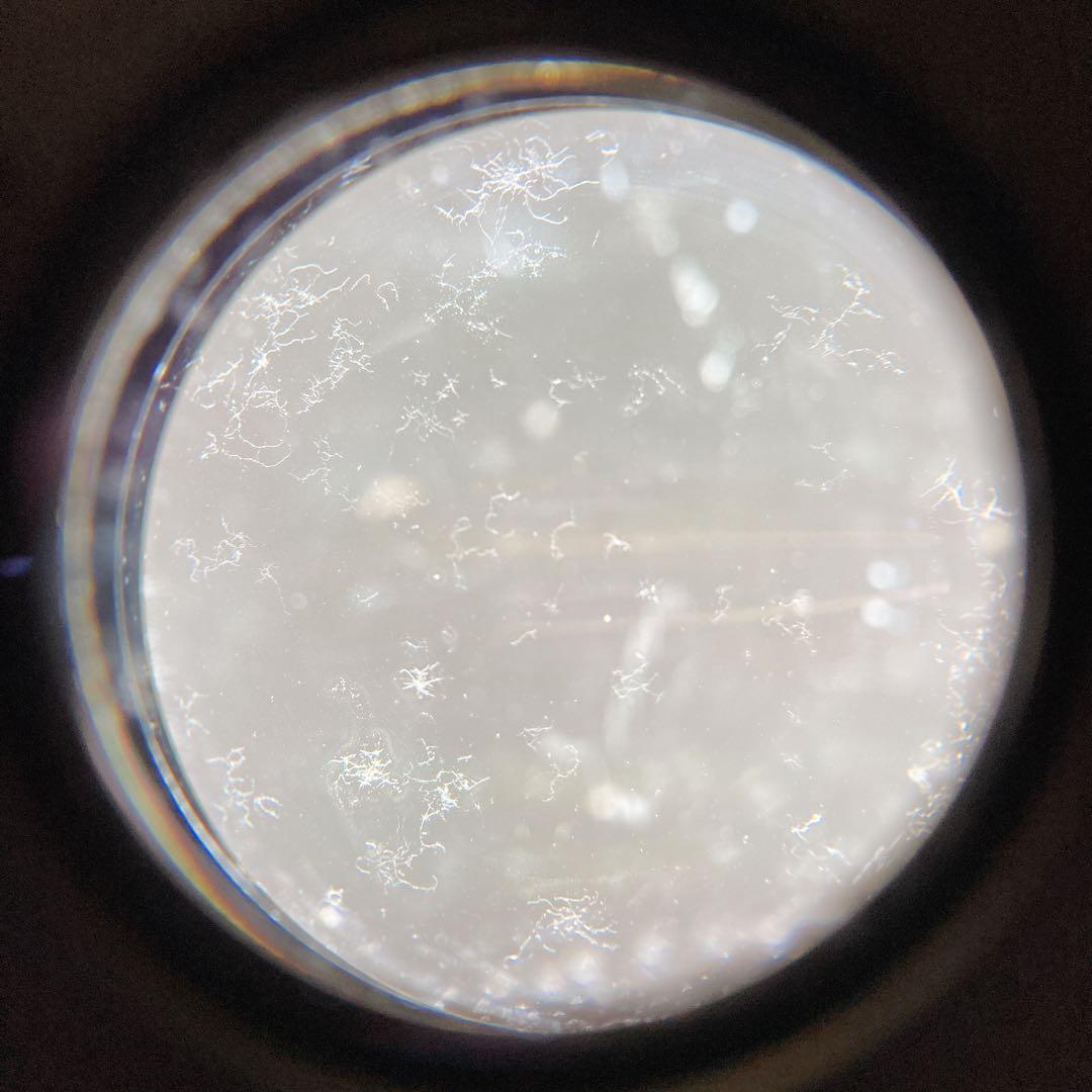 Canon キャノン　F-1 フィルムカメラ　FL 50mm F1.4