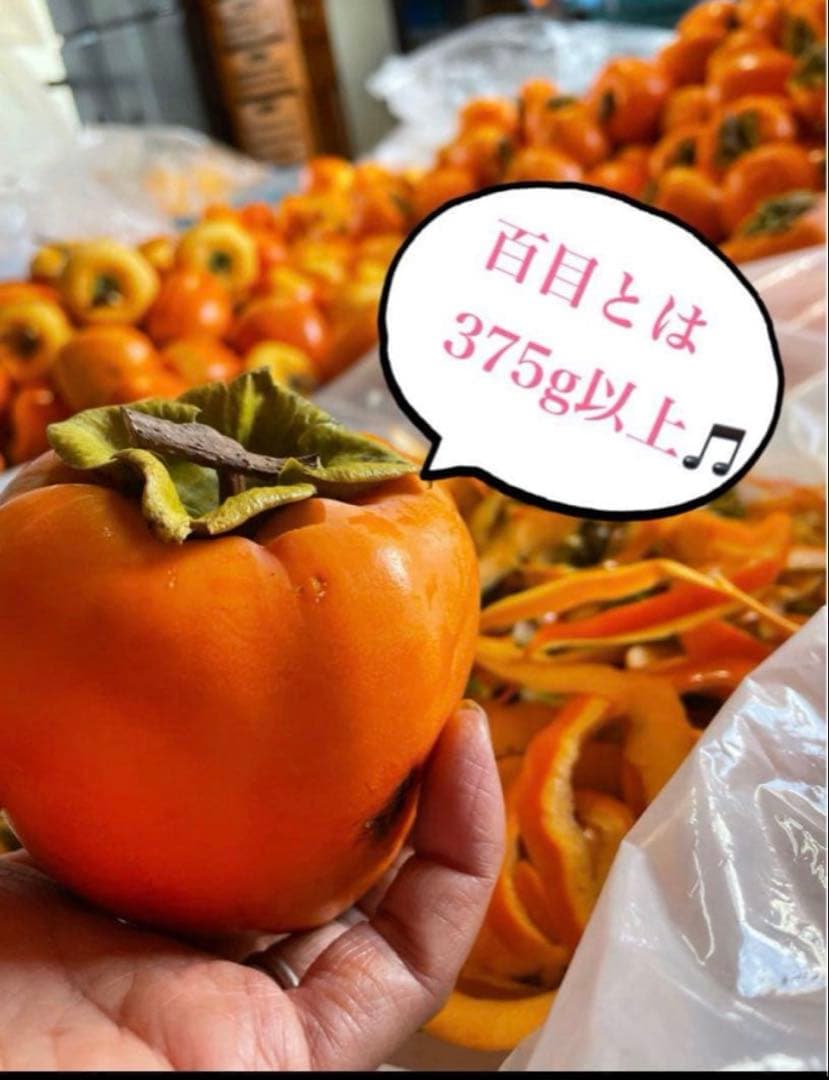 ジャニ様　特大1号12個入りと1号箱15個入り　2箱セット