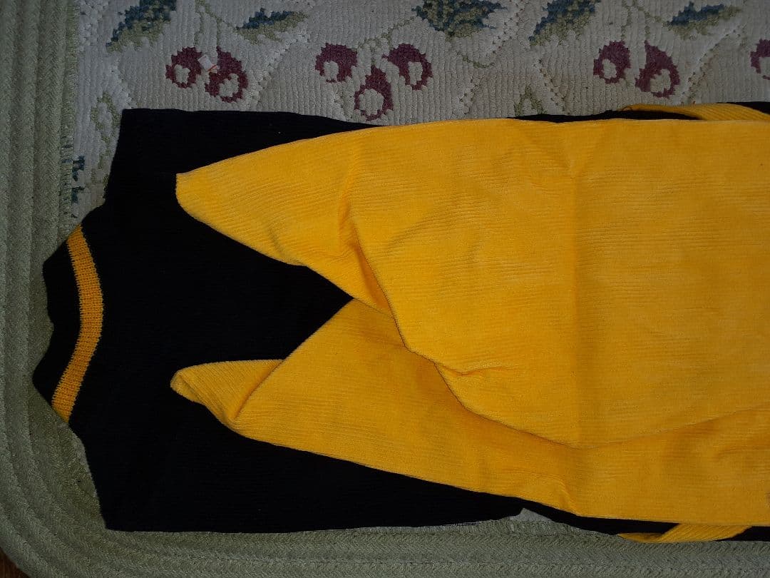 コダックスタジアムジャンパー