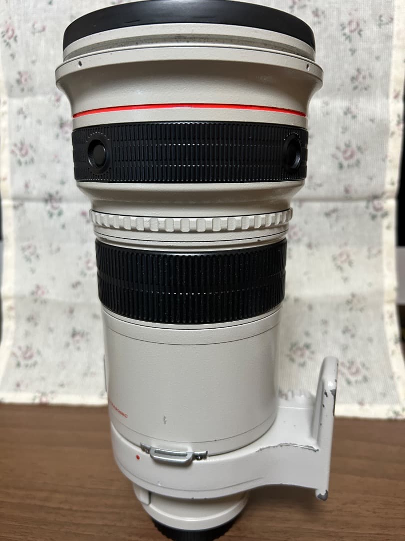 【なお-R】CANON EF300mm 1:2.8 L IS USM