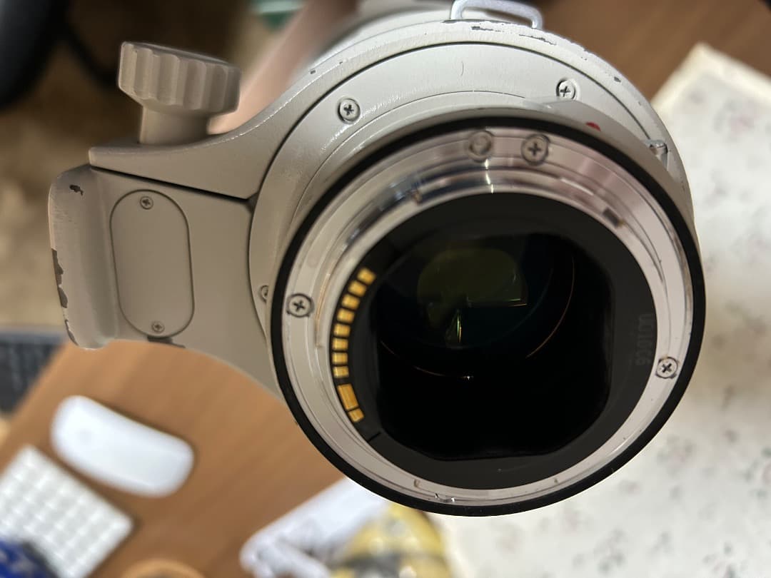 【なお-R】CANON EF300mm 1:2.8 L IS USM