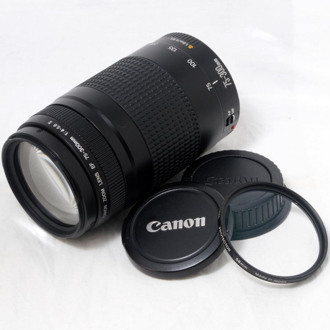 ★美品★Canon キャノン EF 75-300mm 4-5.6 Ⅱ 望遠ズーム