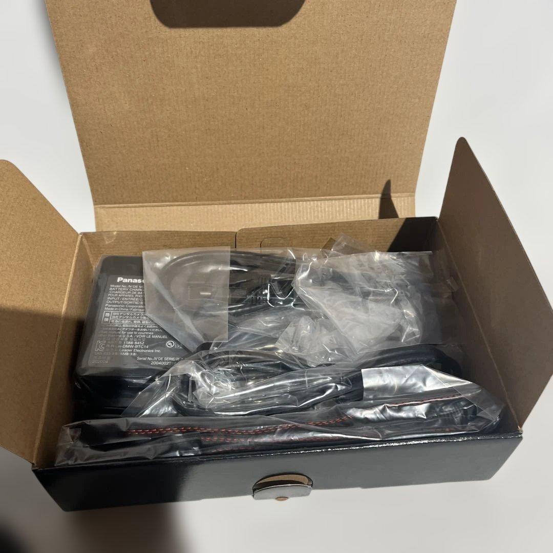 【極美品】Panasonic LUMIX S1H（ショット数742）・ケージ付き