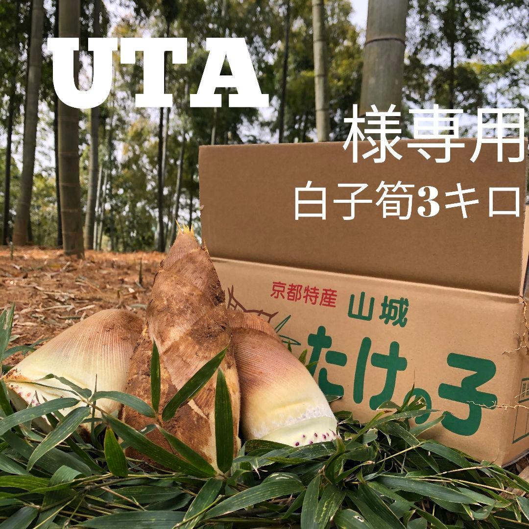 UTA 白子筍3キロ