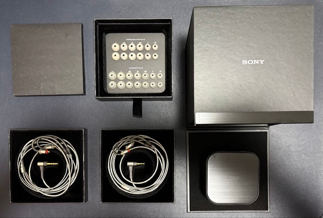 イヤホン SONY IER-Z1R