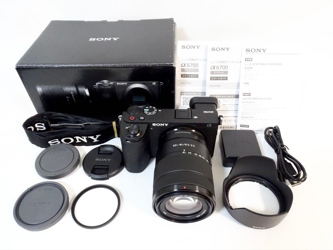 超美品 ◆ショット数:607回◆ SONY α6700 18-135mm 箱付き